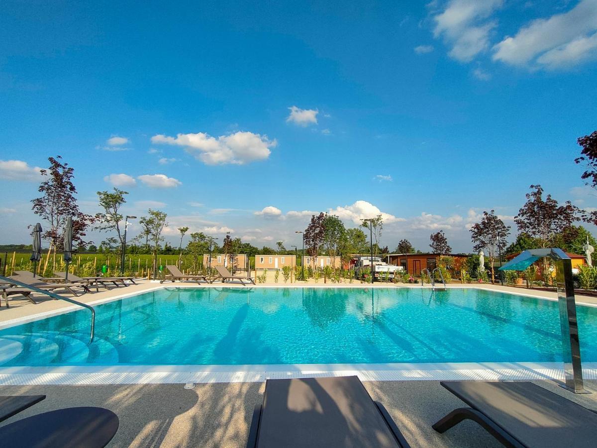 Garda Di Vino Agricamping & Wine Shop Lazise Ronchi  Dış mekan fotoğraf
