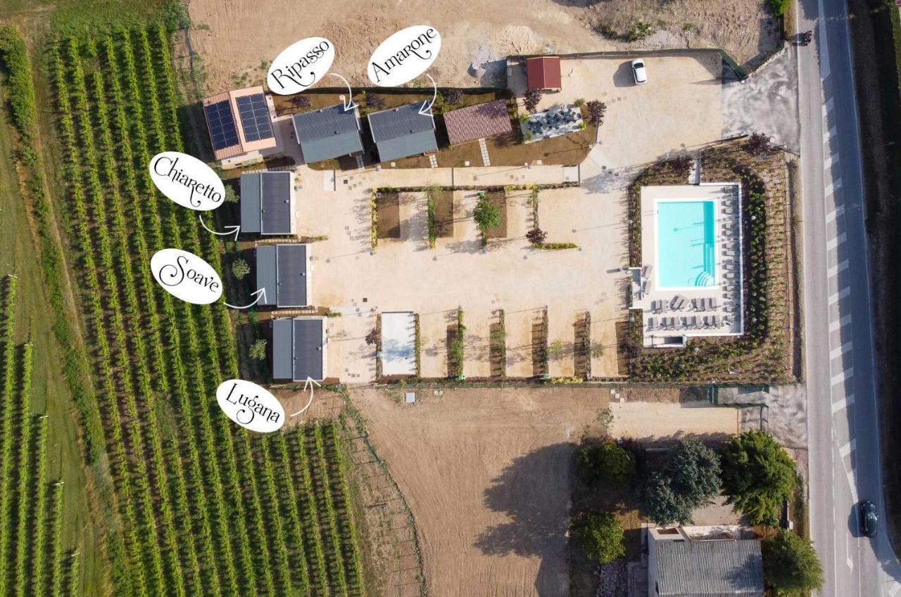 Garda Di Vino Agricamping & Wine Shop Lazise Ronchi  Dış mekan fotoğraf