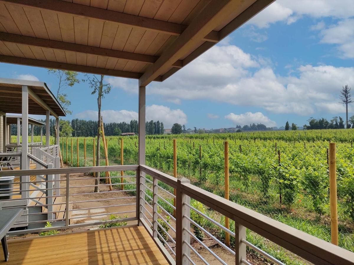 Garda Di Vino Agricamping & Wine Shop Lazise Ronchi  Dış mekan fotoğraf